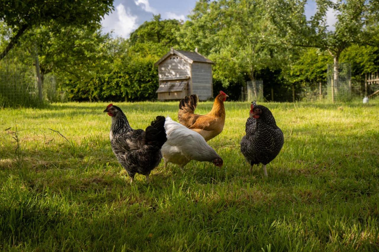 Gutchpool Farm Panzió Gillingham  Kültér fotó